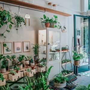 Sustainable Gardening Tools