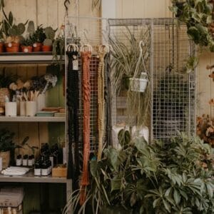 Eco-Friendly Plant Labels