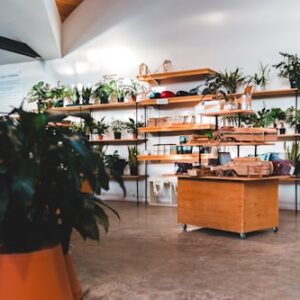 Outdoor Plant Fertilizer