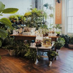 Garden Decor Accessories