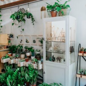 Plant Enthusiast Subscription Box