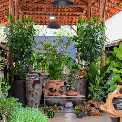 Botanical Wall Art Prints